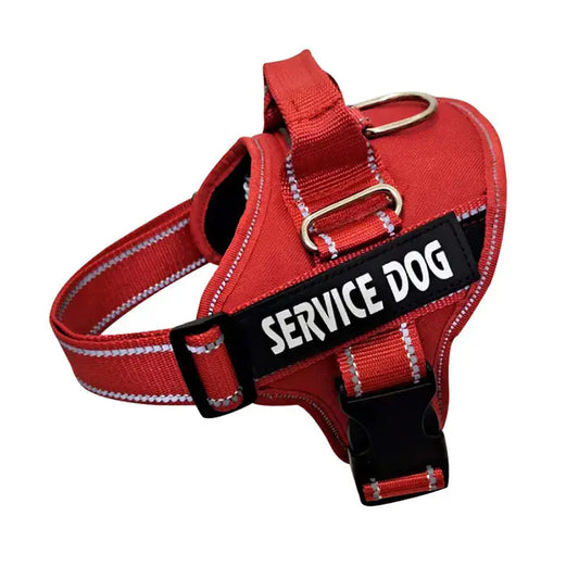 Personalized Pet Chest Strap Products