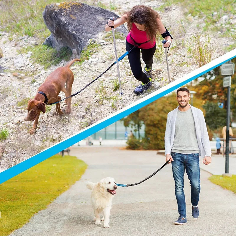 Enhance Your Dog Walks with Our Reflective Elastic Dog Leash