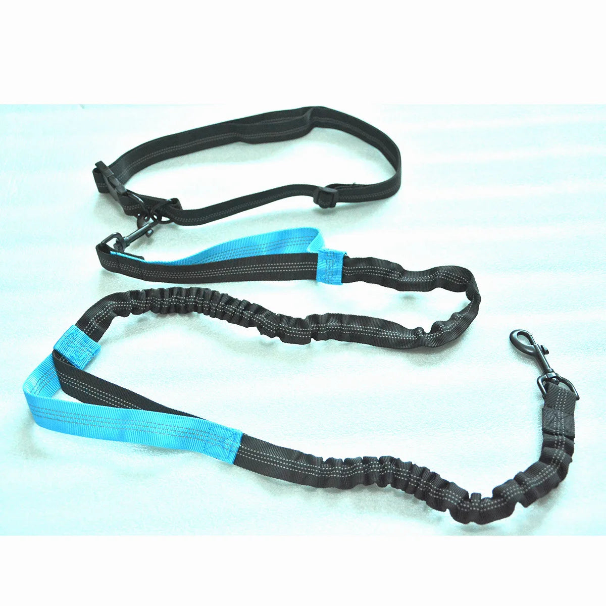 Enhance Your Dog Walks with Our Reflective Elastic Dog Leash