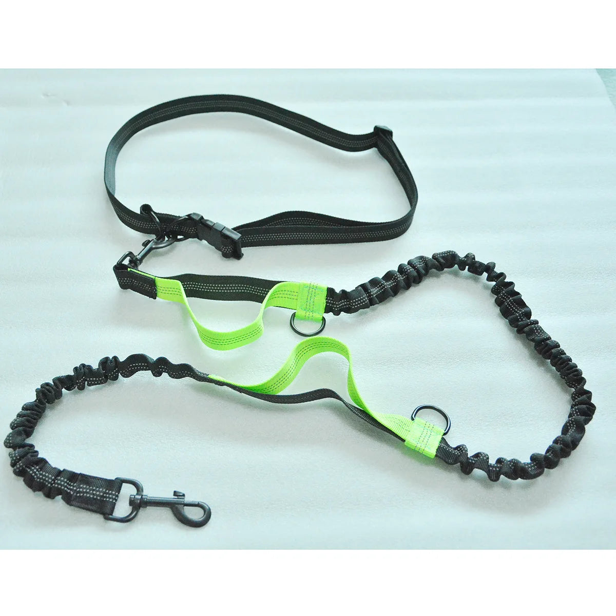 Enhance Your Dog Walks with Our Reflective Elastic Dog Leash