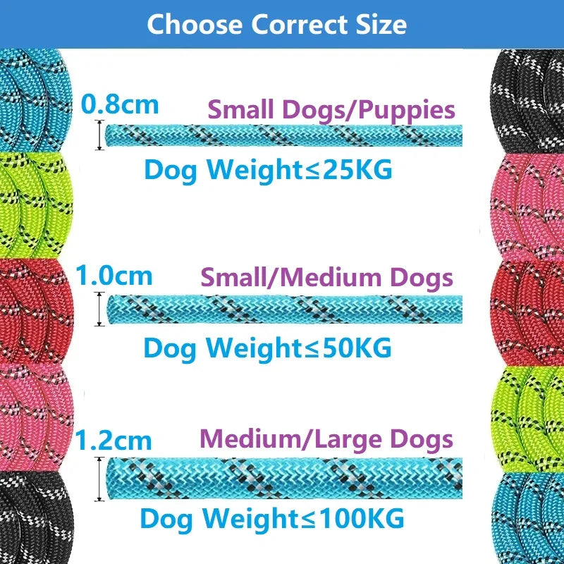 Strong Dog Leash with Soft Handle – The Ultimate Comfort and Control for Small to Large Dogs