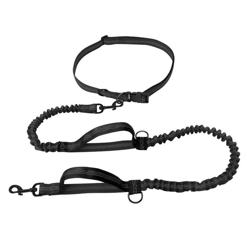 Enhance Your Dog Walks with Our Reflective Elastic Dog Leash