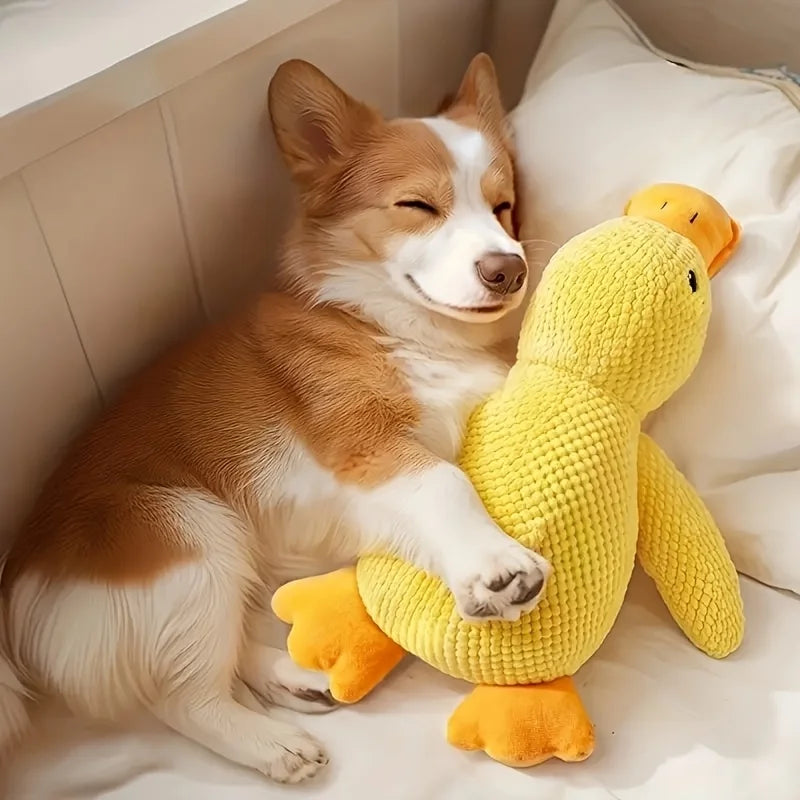Durable Plush Squeaky Dog Toy – The Ultimate Interactive Playtime Essential for All Breeds