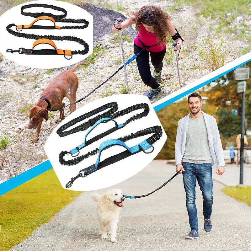 Enhance Your Dog Walks with Our Reflective Elastic Dog Leash