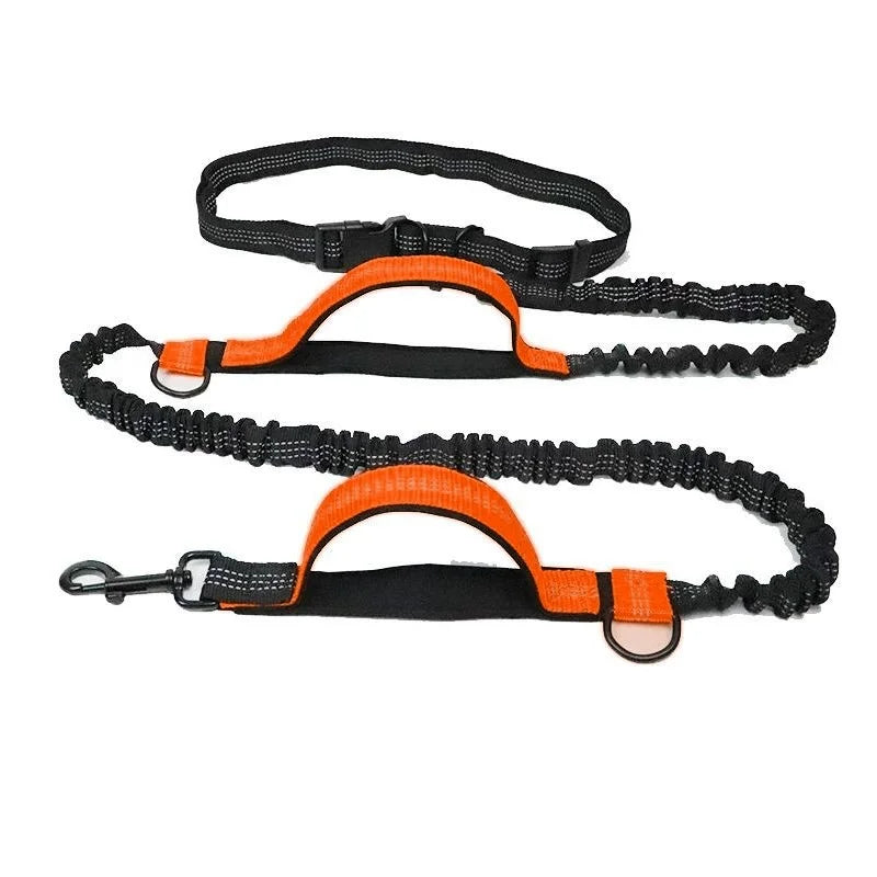 Enhance Your Dog Walks with Our Reflective Elastic Dog Leash