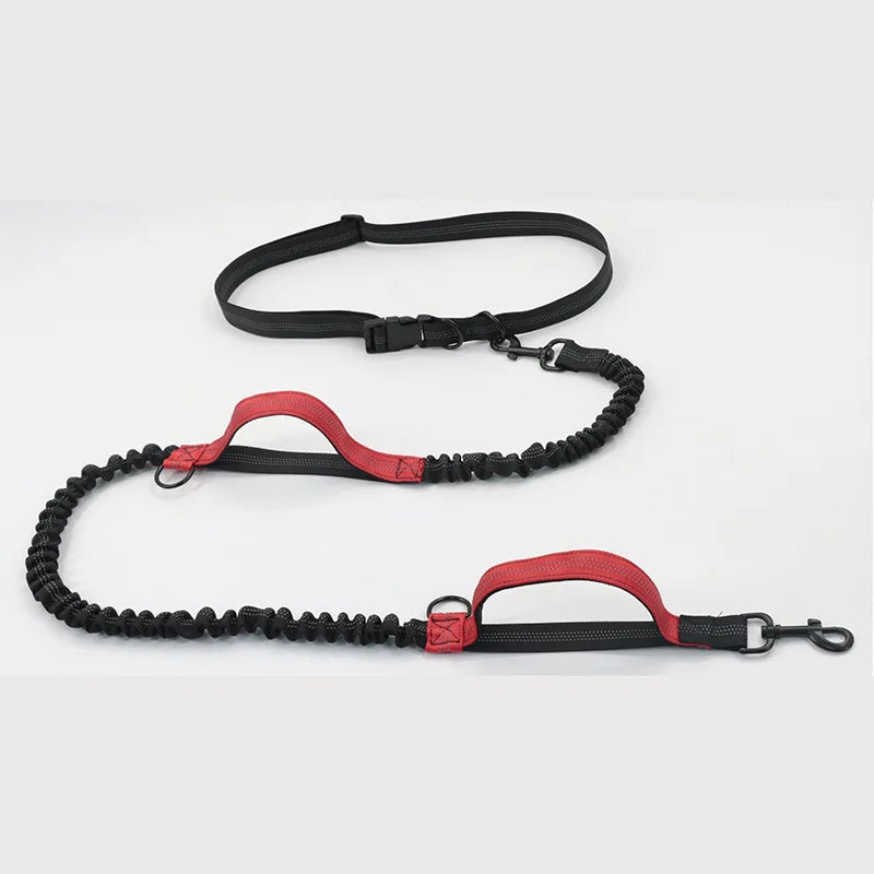 Enhance Your Dog Walks with Our Reflective Elastic Dog Leash