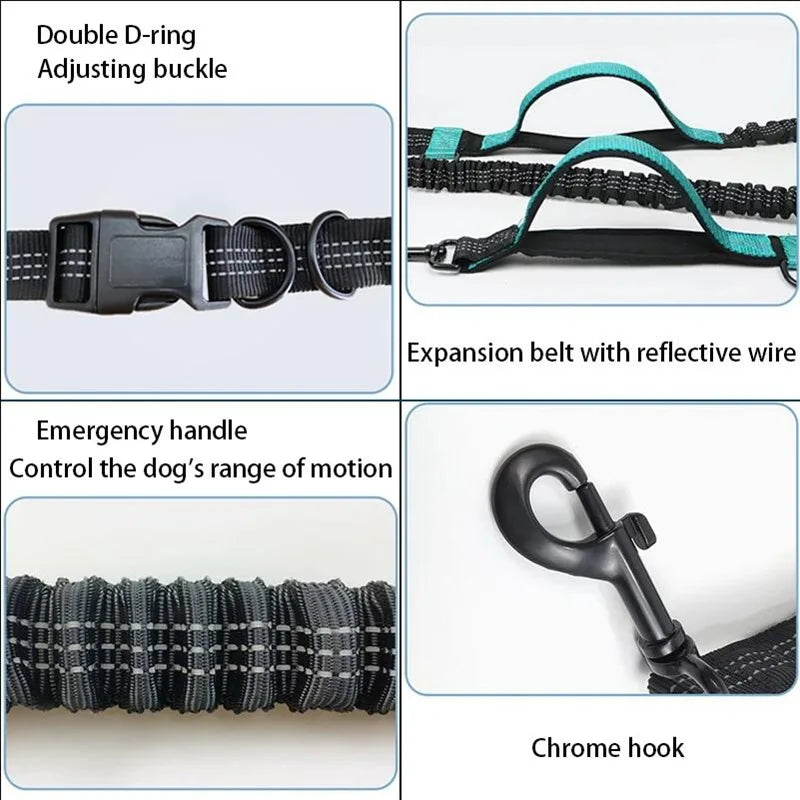 Enhance Your Dog Walks with Our Reflective Elastic Dog Leash