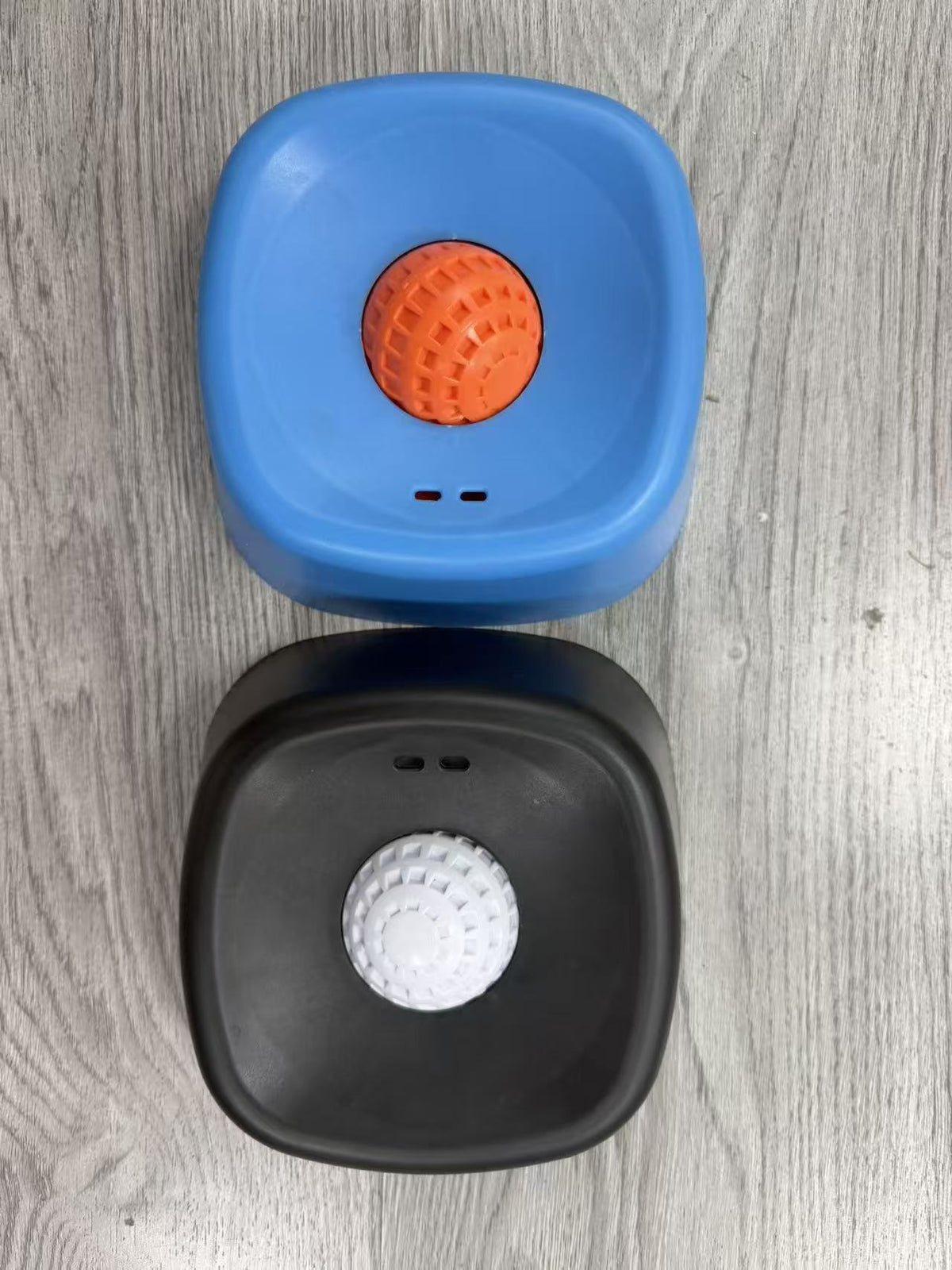 Dog Licking Bowl