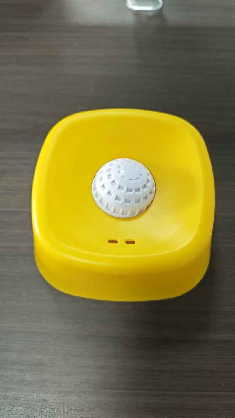 Dog Licking Bowl
