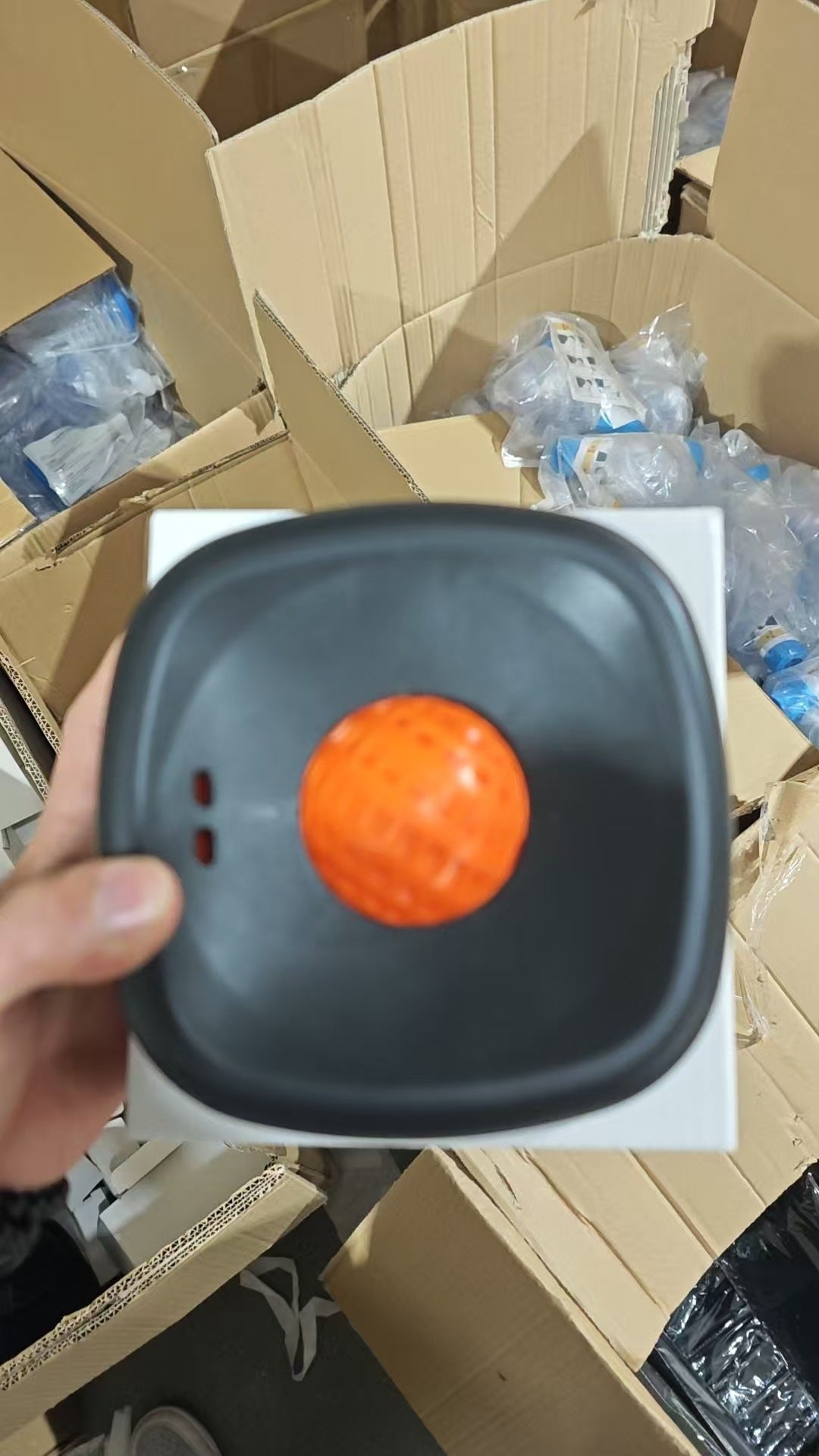 Dog Licking Bowl