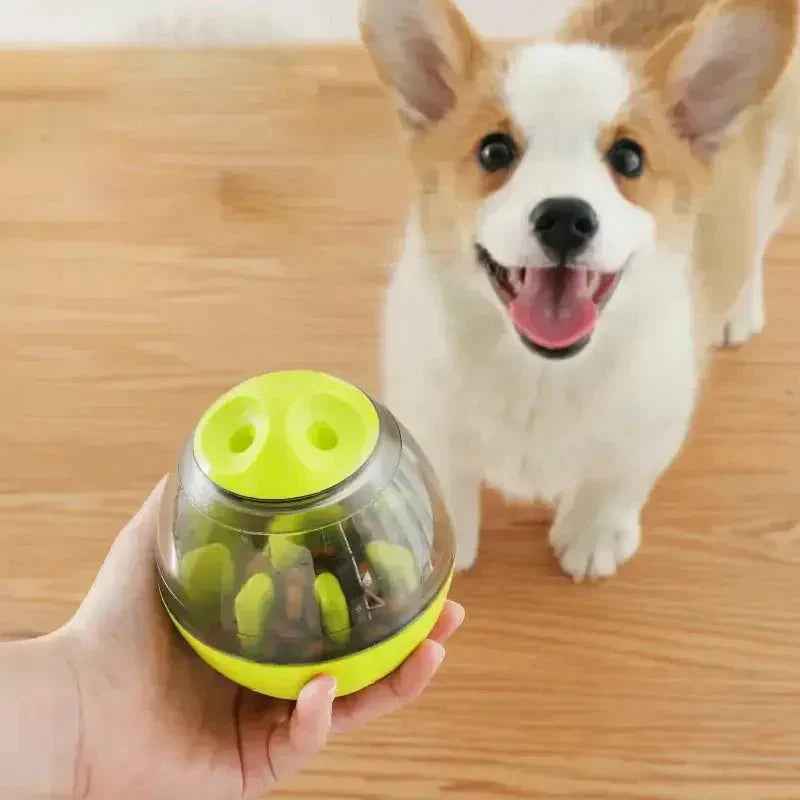 pet intelligence treat toys Enhance Pet Intelligence with Engaging Treat Toys - Johns Pet Store