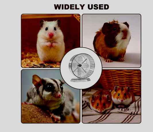 Essential Hamster Care Essentials for a Happy Pet Family