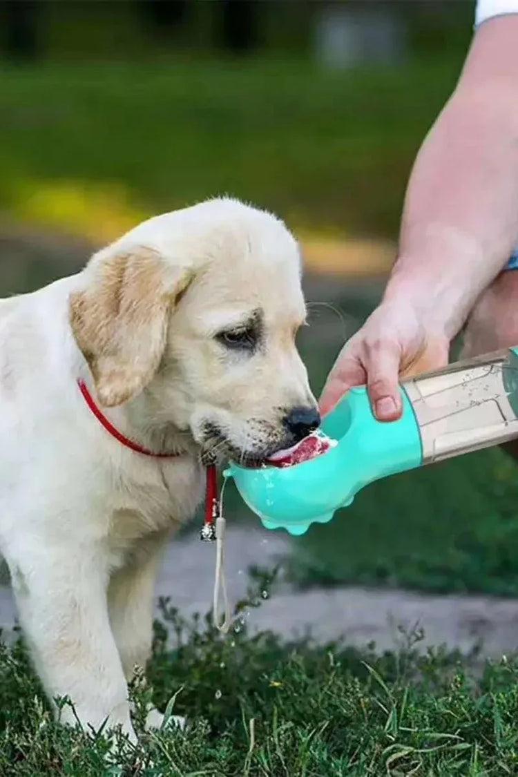 Portable Pet Feeder and Watering Bowl: Ideal Travel Solution for Your Furry Friend - Johns Pet Store