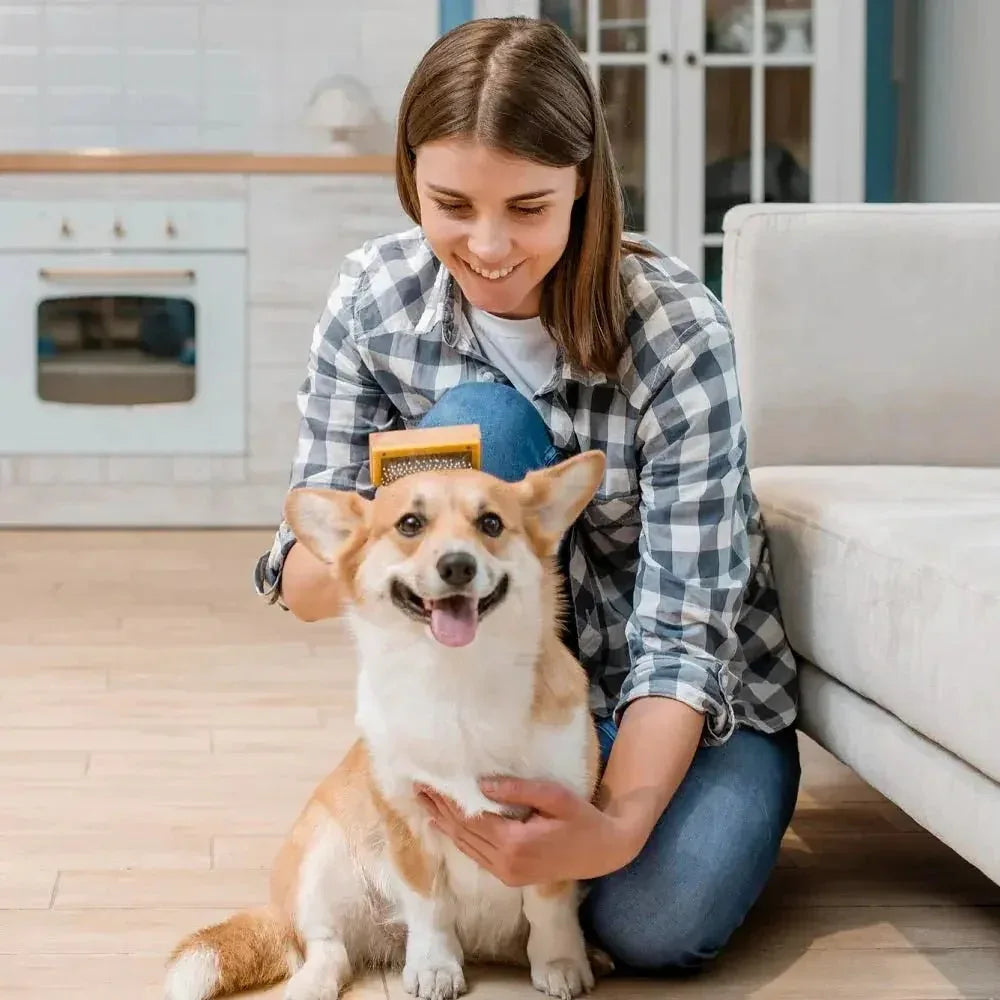Grooming & Care Grooming Essentials For family pets - Johns Pet Store