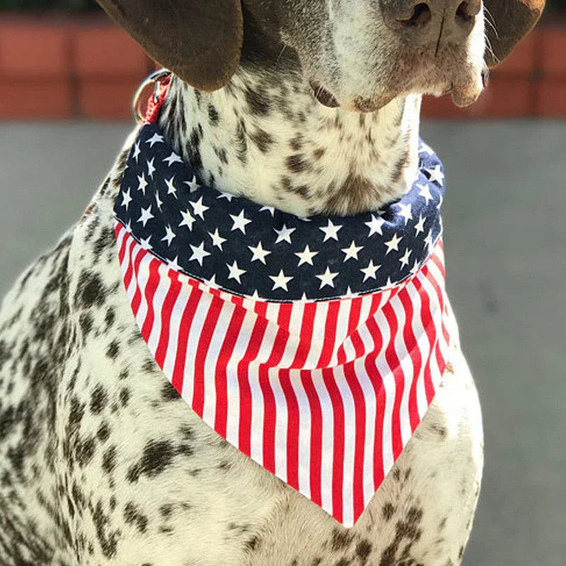 Apparel Accessories Bandanna Collection - Johns Pet Store