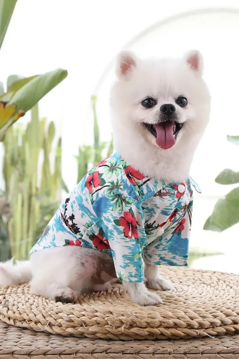 Apparels - Johns Pet Store 