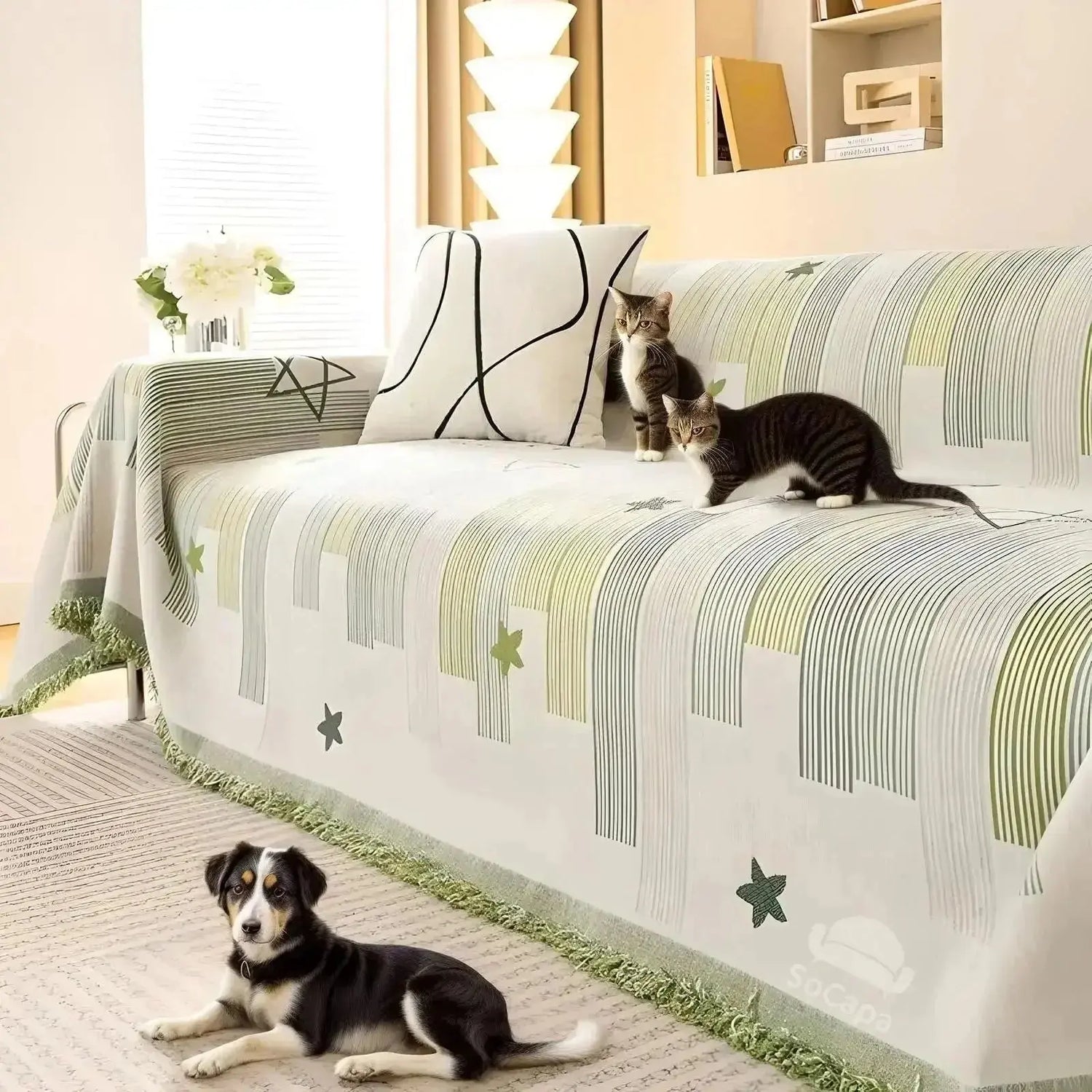 Beds & Furniture Covers - Johns Pet Store 