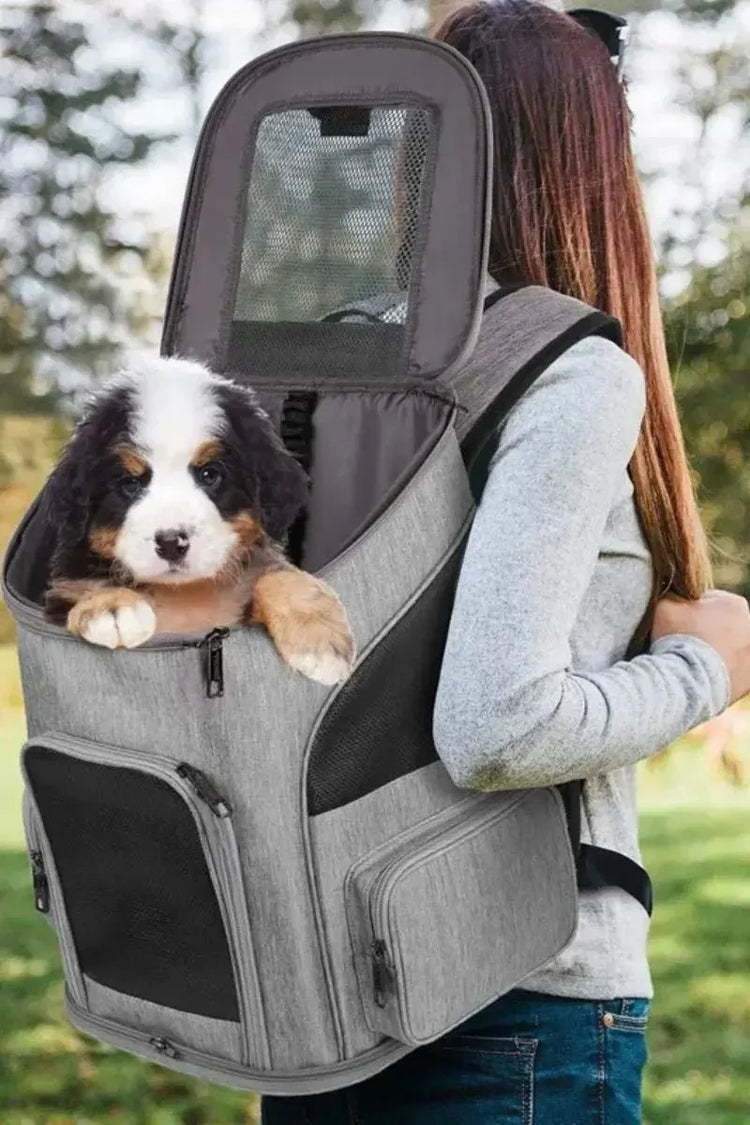 Travel & Carry Your Pet: Top Pet Carriers for Travel and Essential Bags - Johns Pet Store