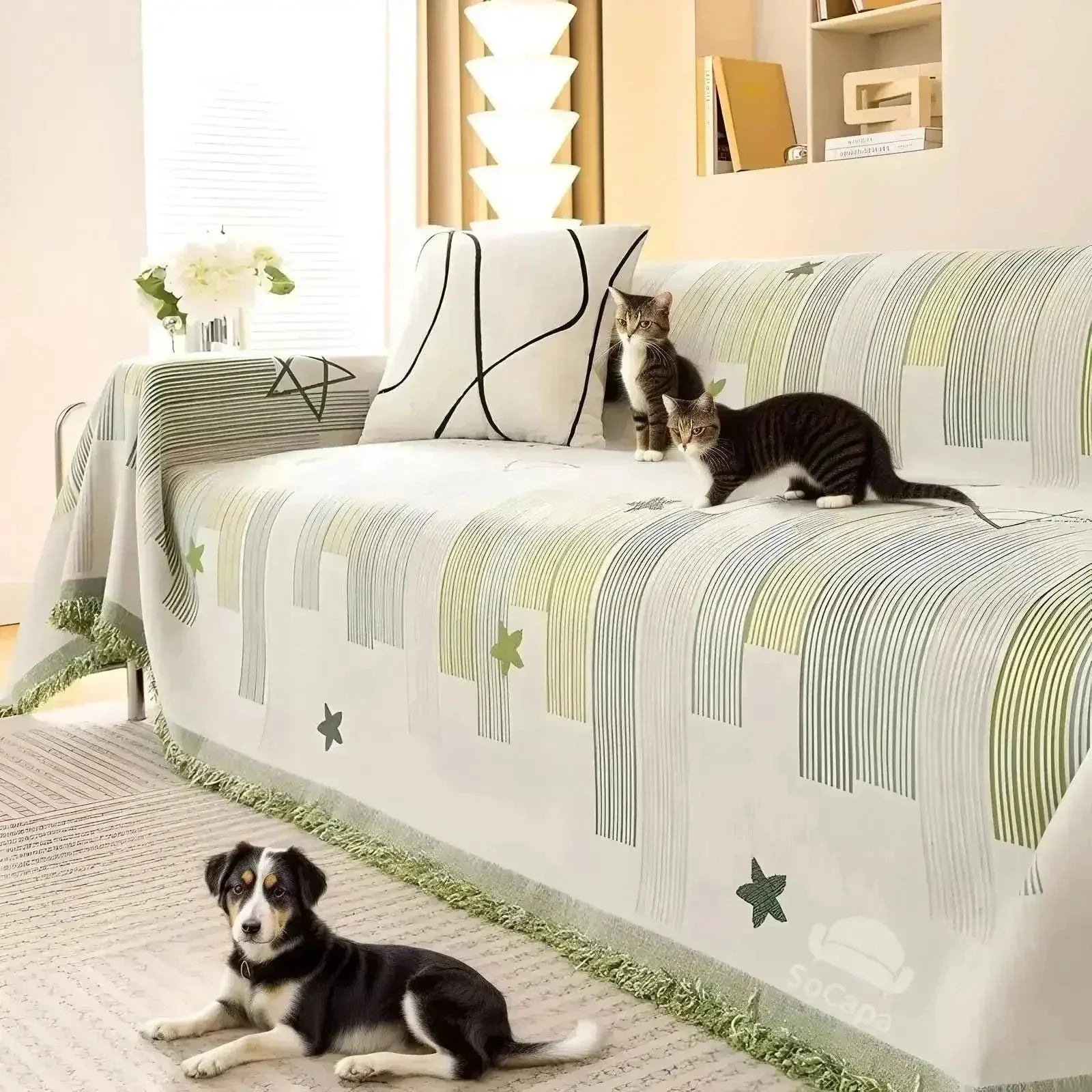 Family Pet Beds & Furniture Covers For Bedroom or cars - Johns Pet Store