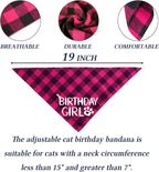 Pet Birthday Cat Costume with Plaid Scarf, Glitter Hat, and Sequined Bow Tie Suit Arrangement - Johns Pet Store