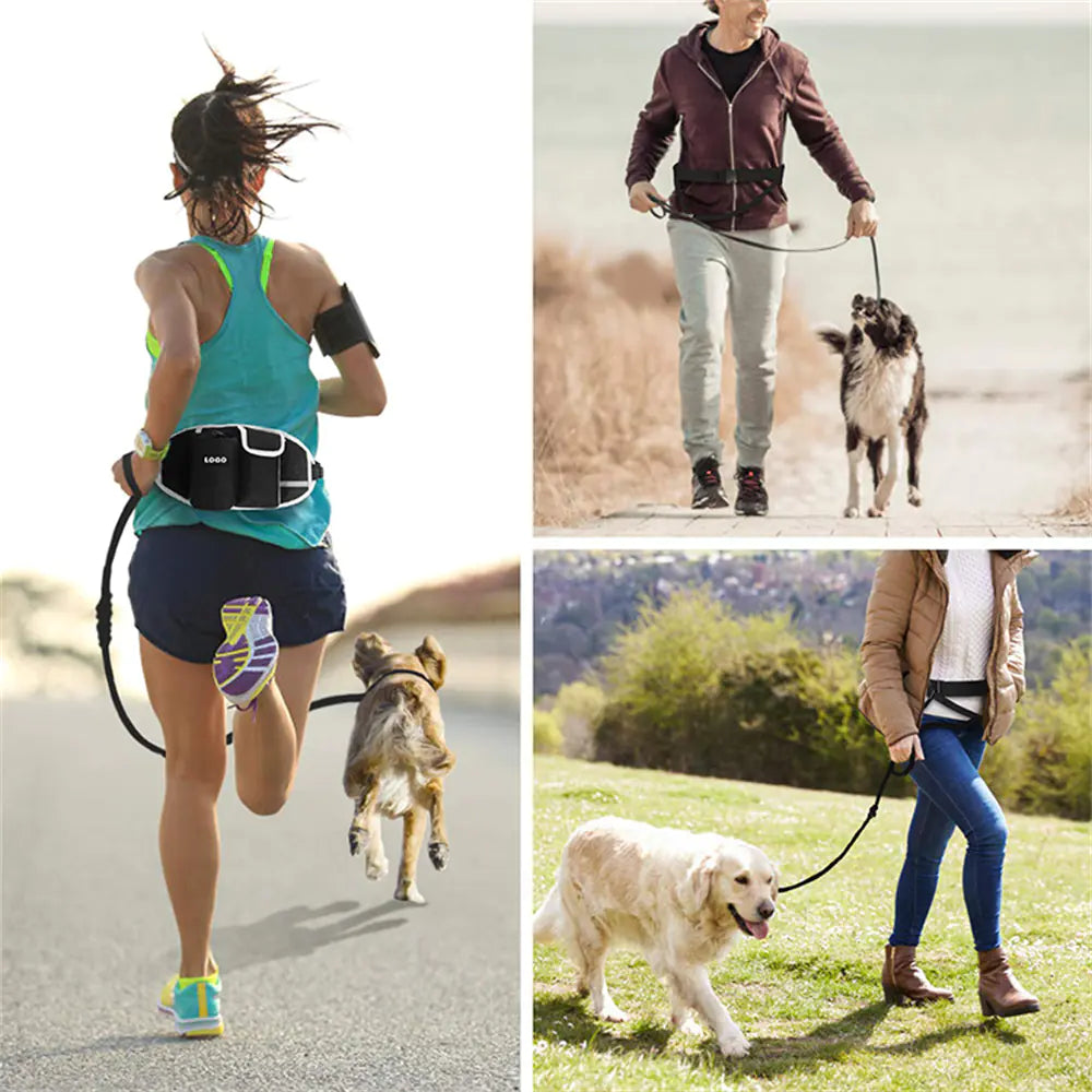 Hands-Free Dog Training Leash with Waist Bag Storage