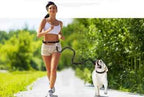 Fast Selling Dog Fitness Belt - Nylon Reflex Traction Rope for Running and Sports