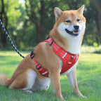 Nylon Dog Harness No Pull Breathable Reflective Vest for Small and Large Dogs - Ideal for Outdoor Running and Training - Johns Pet Store