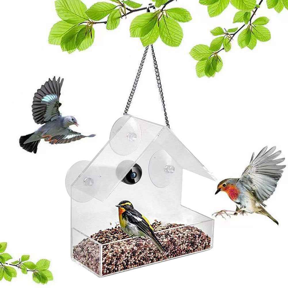 Outdoor Bird Feeder Camera for Real-Time Monitoring and HD WiFi Visibility - Johns Pet Store