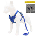 Reflective Dog Harness - Comfortable Breathable Vest-Style Leash for Pets - Johns Pet Store