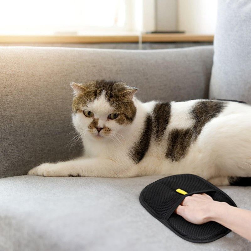 Pet Hair Removal Gloves — Groom, Deshed & Clean in One | Dogs & Cats