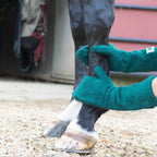 Pet Cleaning Gloves for Dogs and Horses - Foot Care Drying Solution