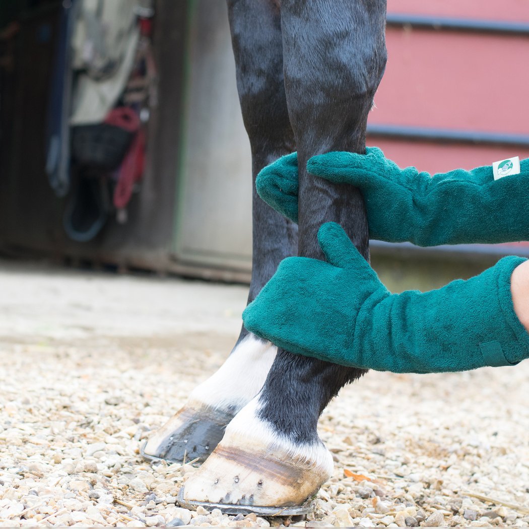 Pet Cleaning Gloves for Dogs and Horses - Foot Care Drying Solution