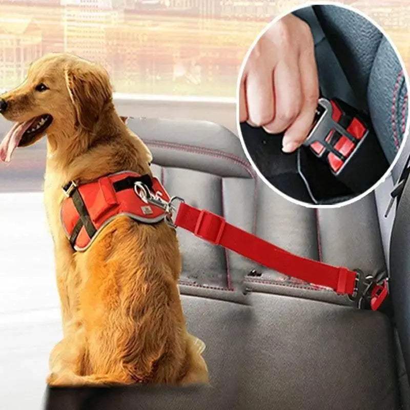 Adjustable pet cat dog car seat belt in red securing a golden retriever in a car seat for safe travel