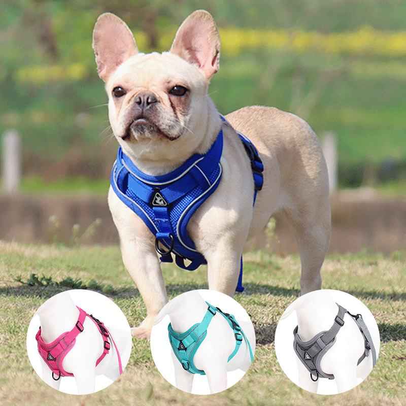 Reflective Dog Harness - Comfortable Breathable Vest-Style Leash for Pets - Johns Pet Store