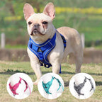 Reflective Dog Harness - Comfortable Breathable Vest-Style Leash for Pets - Johns Pet Store