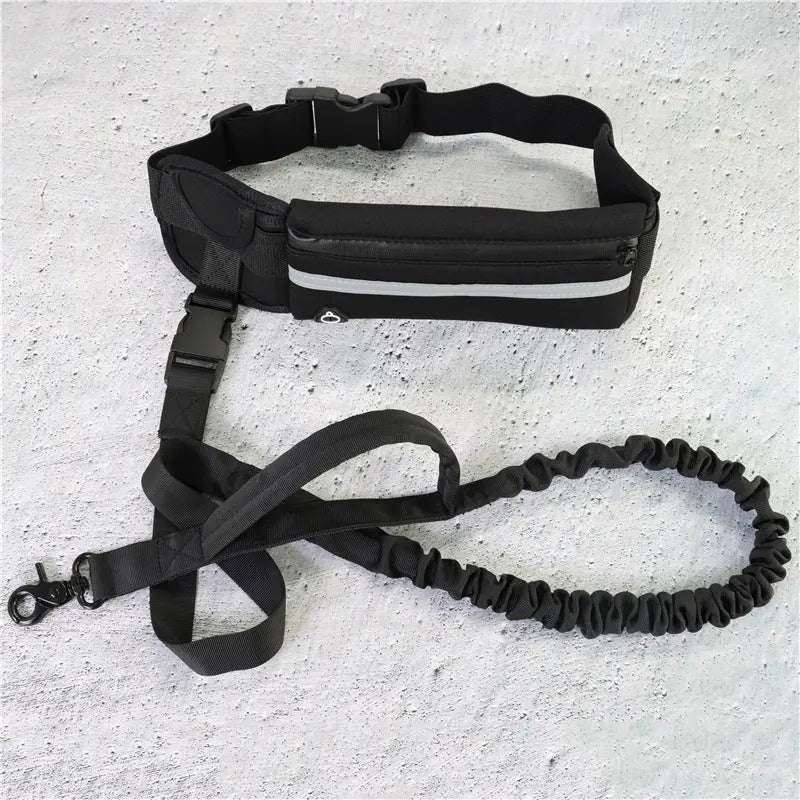 Hands Free Pet Walking, Training Belt With Shock Absorbing Bungee Leash Phone Pocket And Water Bottle Holder