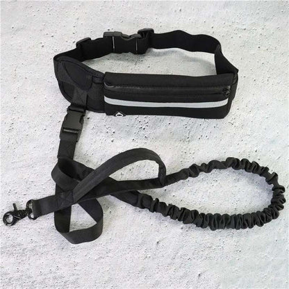 Hands Free Pet Walking, Training Belt With Shock Absorbing Bungee Leash Phone Pocket And Water Bottle Holder