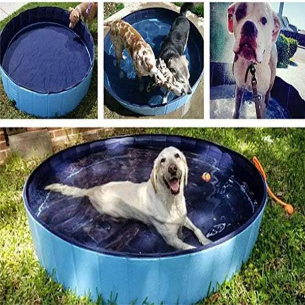 Pet Pool Dog Swimming Pool