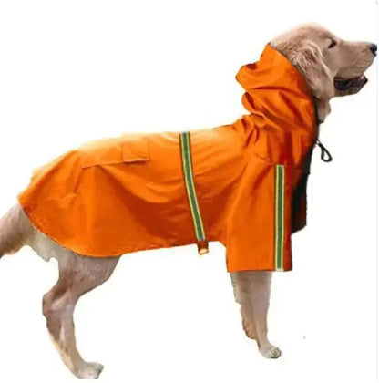 Golden retriever wearing bright orange waterproof pets rain coat with hood and reflective stripes