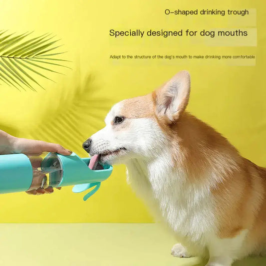 Portable Outdoor Dog Water Bottle for Pets