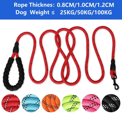 Strong Dog Leash with Soft Handle – The Ultimate Comfort and Control for Small to Large Dogs