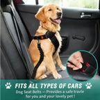 Adjustable Dog Seat Belt for Cars – Crash Tested and Secure