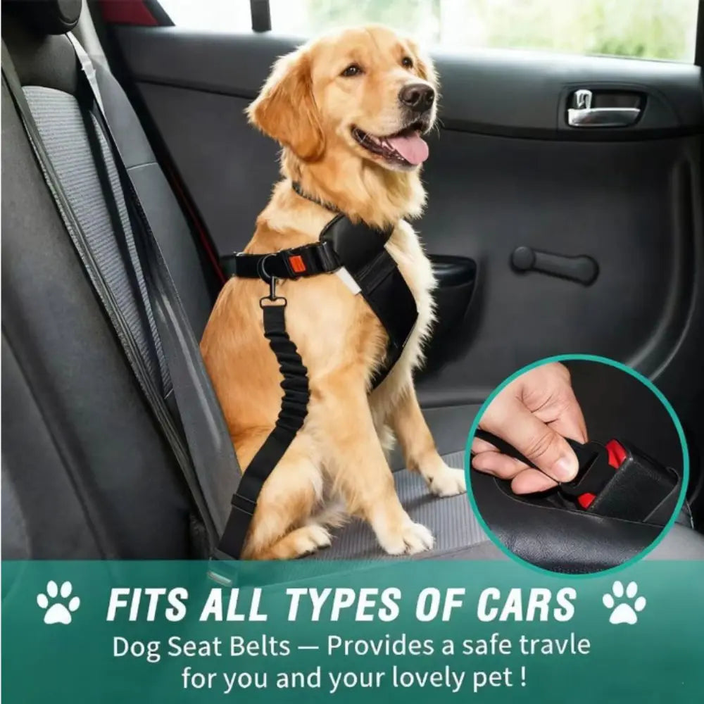 Adjustable Dog Seat Belt for Cars – Crash Tested and Secure