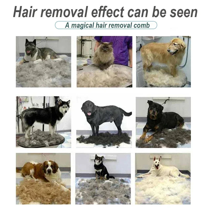 Pet Grooming Brush for Dogs & Cats