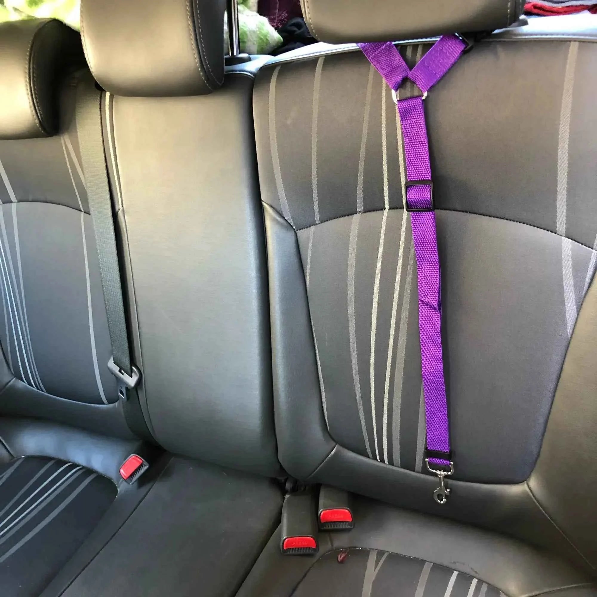 Two-in-One Pet Car Seat Belt - Adjustable Nylon Lead Leash and Backseat Safety Belt for Dogs, Pet Accessories