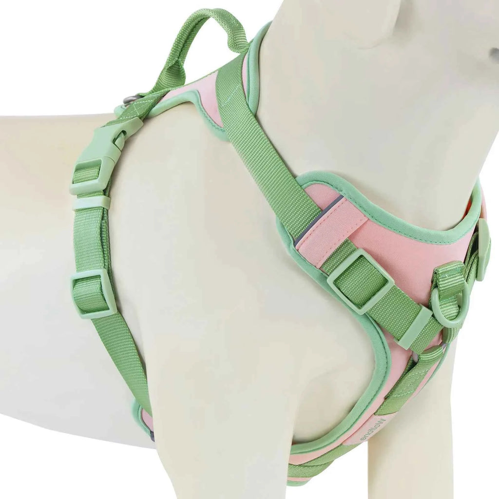 Luxury Dog Harness No Pull - Adjustable Chest Strap for Large and Small Dogs with Customization Options