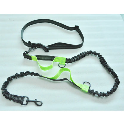 Enhance Your Dog Walks with Our Reflective Elastic Dog Leash