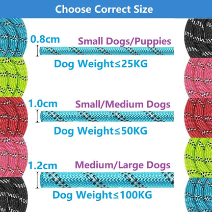 Strong Dog Leash with Soft Handle – The Ultimate Comfort and Control for Small to Large Dogs