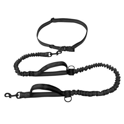 Enhance Your Dog Walks with Our Reflective Elastic Dog Leash