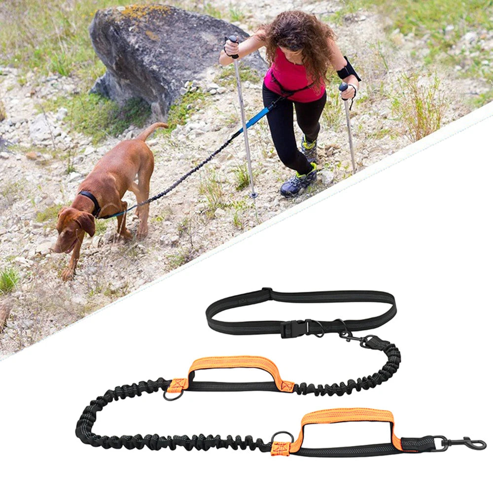 Enhance Your Dog Walks with Our Reflective Elastic Dog Leash